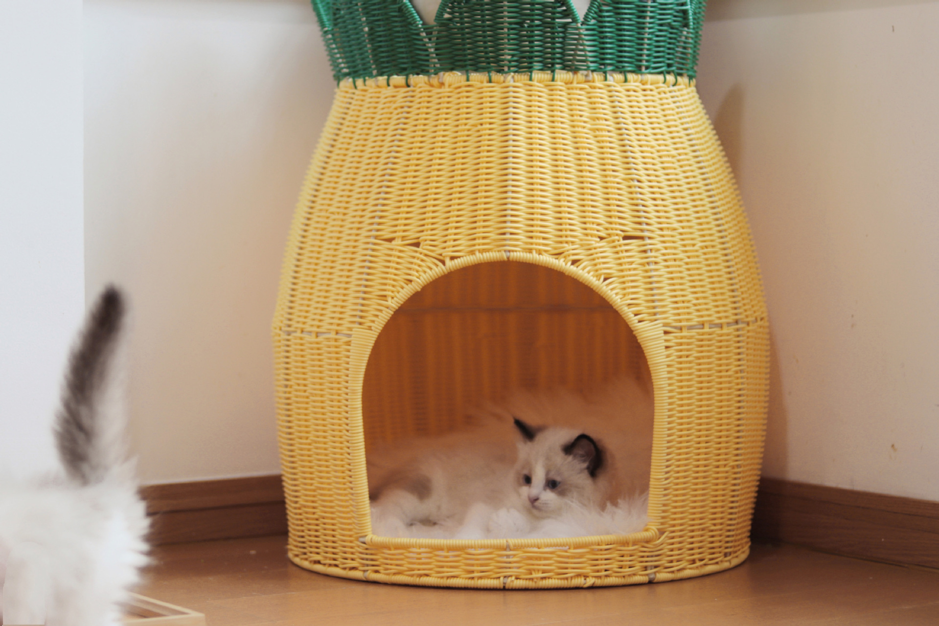 猫窝四季通用半封闭式夏季透气可水洗手工藤编猫咪窝双层宠物床