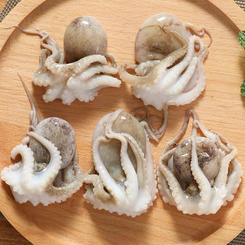 桂宏远小八爪鱼 5斤商用82枚海鲜小章鱼鲜活章鱼仔鱿鱼须火锅食材