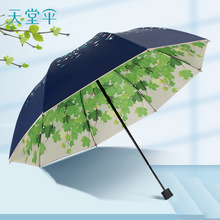 遮阳伞女晴雨两用小清新太阳伞双层防晒防紫外线黑胶三折伞