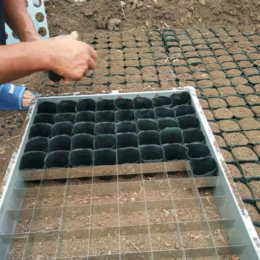 批发加厚育苗杯装土神器营养杯装土器营养钵装碗器装碗神器装杯器