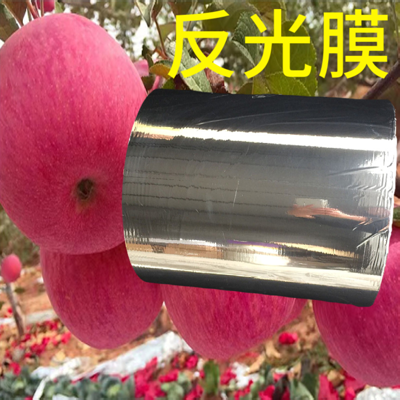 现货bopet 苹果葡萄反光膜农用塑料地膜果桃增色双面上色隔热铝膜