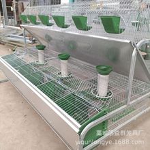 欧式兔笼热镀锌兔子笼自动清粪双层全套兔笼养殖网设备定制厂家