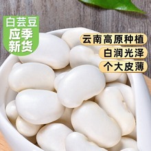 农家自制扁豆干500g包邮干扁豆干货眉豆干扁豆干货扁豆