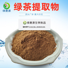 10:1比例绿茶提取物 茶多酚 绿茶萃取粉 茶多酚原料粉 量大价优