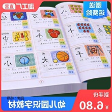 字儿童学前看图识字书籍----岁幼儿园宝宝学汉字卡片