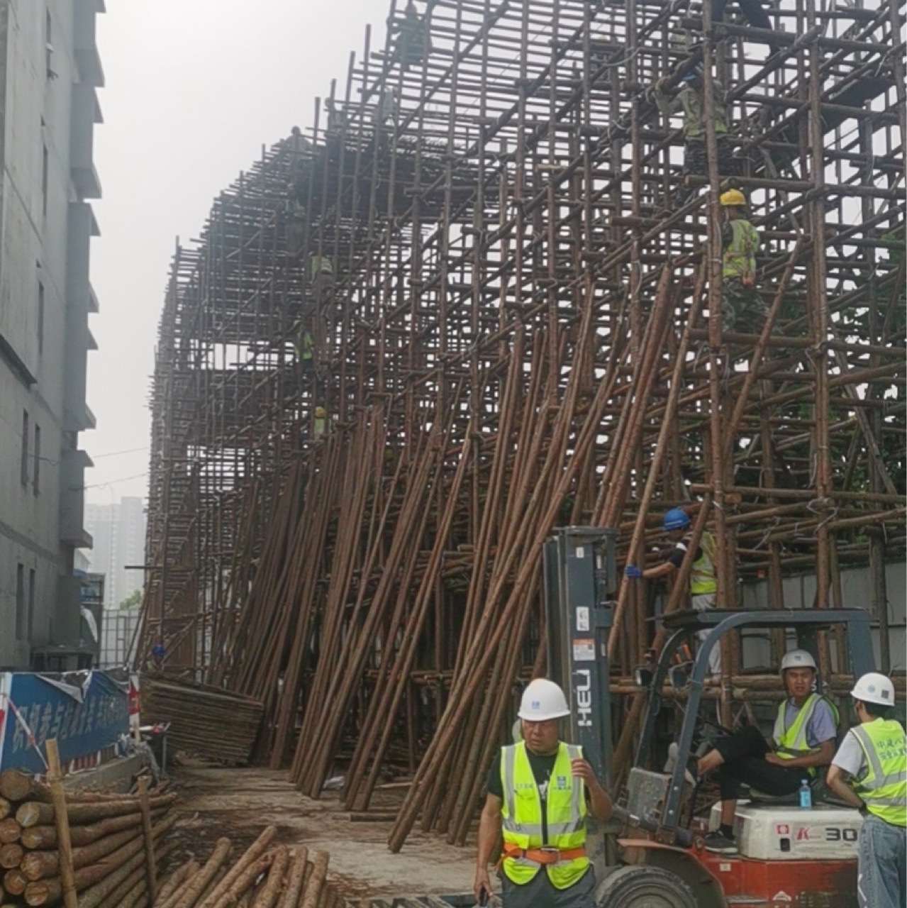 杉木杆支撑 竹竿园林绿化支撑杆 高压线防护  13693109768