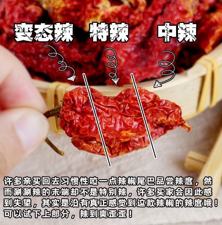 魔鬼辣椒超辣巨辣辣椒王精选印度魔鬼椒变态辣魔鬼涮涮辣魔鬼椒面