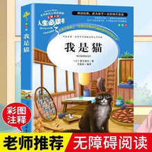 我是猫书 夏目漱石著 小学生三四五六年级课外阅读书籍人生必读书