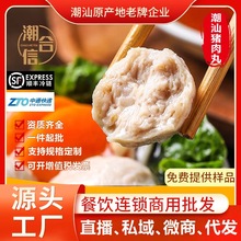 潮汕猪肉丸潮汕特产火锅食材肉丸500g厂家批发真空包装烧烤食材