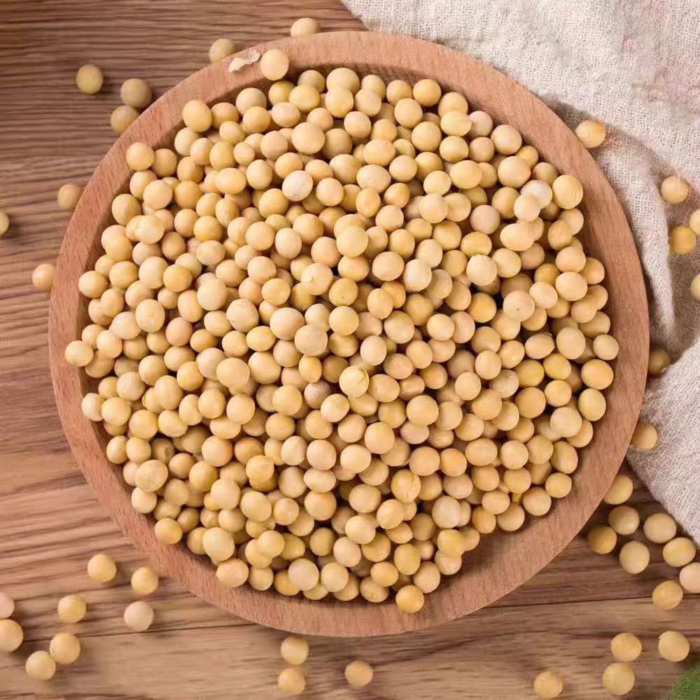 黄豆 豆腐 豆皮 豆浆专用有机东北小黄豆-阿里巴巴
