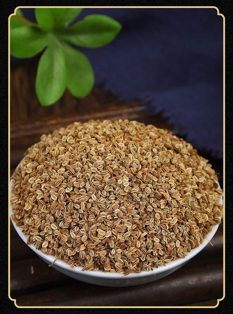 蛇床子新货 供应三角包滤纸包袋泡茶原料颗粒