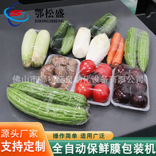 蔬菜保鲜膜带托盘蔬菜包装机 水果全自动封口设备枕式包装机厂
