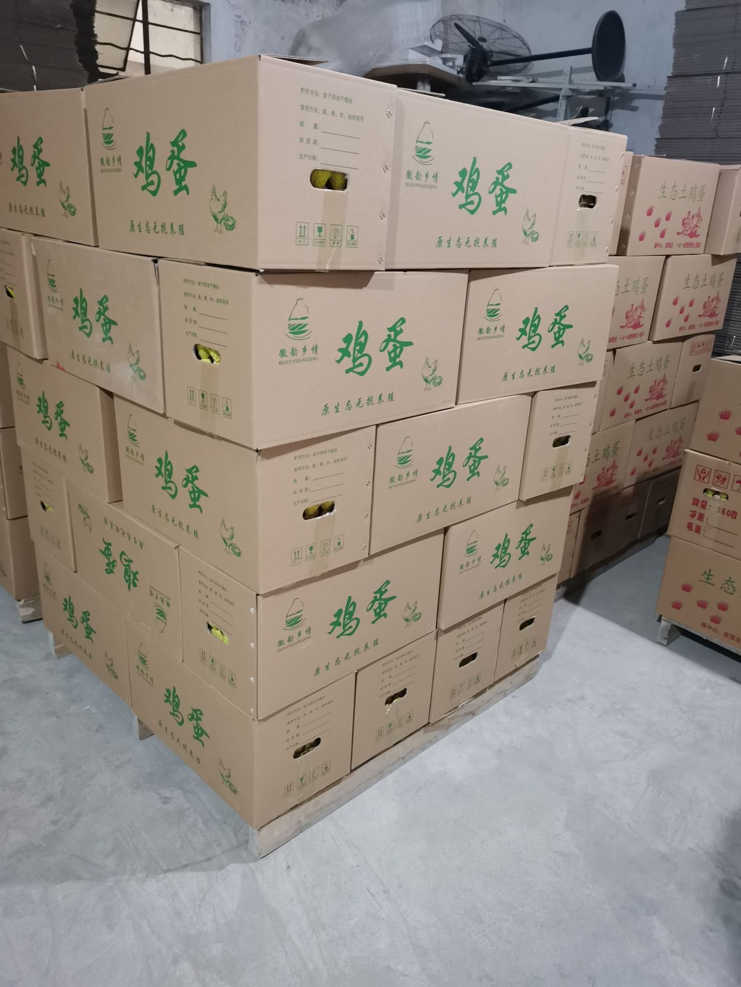 安徽绿壳乌鸡蛋360枚整箱批发 新鲜散养五黑鸡蛋农场直代发全国