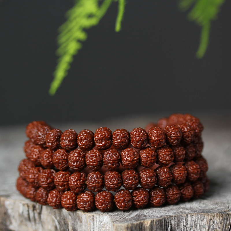 小金刚菩提红皮肉