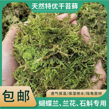 干苔藓水苔青苔兰花蝴蝶兰石斛种植专用营养土爬宠乌龟垫材