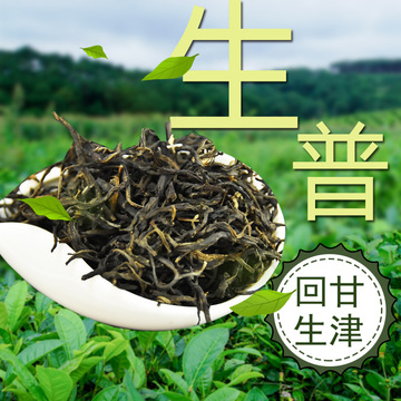 云南普洱茶古树茶普洱生茶茶叶生普散装批发