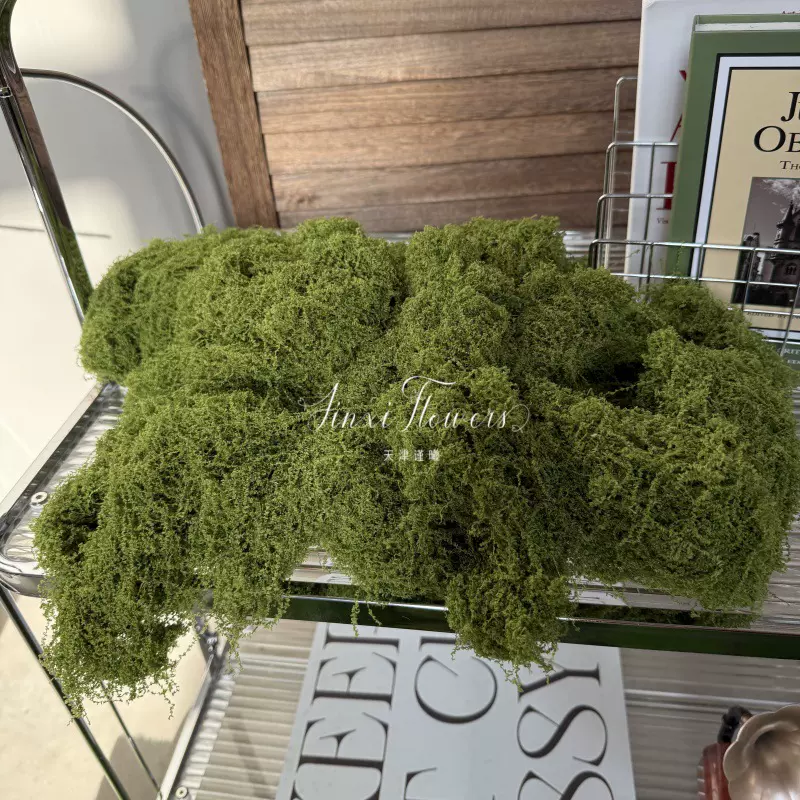 仿真苔藓丝微景观草皮造景装饰 假青苔绿植盆栽人造草坪高级感