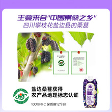 宝桑园桑果汁NFC非浓缩还原果汁桑葚汁330ml*12瓶整箱利乐装