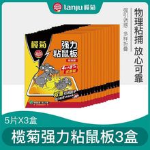 榄菊强力粘鼠板加厚灭鼠粘鼠板捕鼠神器 标准版1盒5片家用强力胶