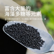 王多多海藻颗粒有机肥海藻肥通用肥料月季玫瑰花肥