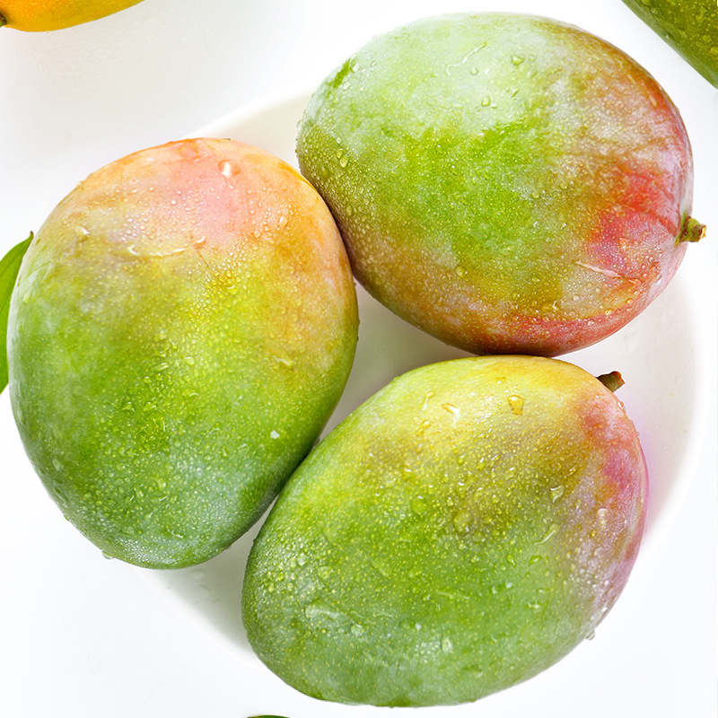 攀枝花凯特芒果新鲜水果5斤当季整箱包邮特大青忙10