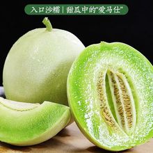 【爆甜】海南玉菇甜瓜当季新鲜水果香瓜冰淇淋蜜瓜脆甜哈密瓜