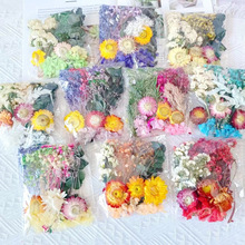 干花永生花相框押花材料组合花材包香薰团扇透明袋装