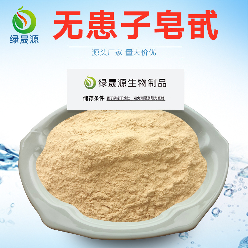 0成交12袋40%无患子皂甙 无患子提取物 无患子皂苷粉 肥皂果萃取原料