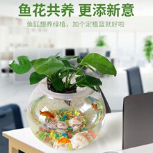 小鱼缸透明玻璃鱼缸客厅家用圆球鱼缸金鱼缸免换水懒人办公桌创意