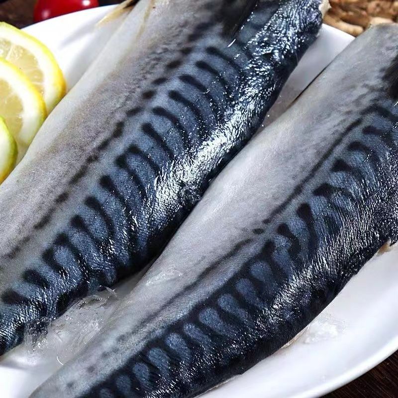 新鲜冷冻青鱼鲐鲅鱼青占鱼青条鱼10斤20斤一斤2到3条整箱批发批发