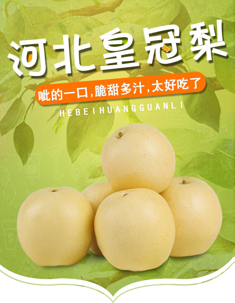 河北皇冠梨子脆甜新鲜水果批发带箱10斤整箱非雪梨鸭梨砀山梨批发