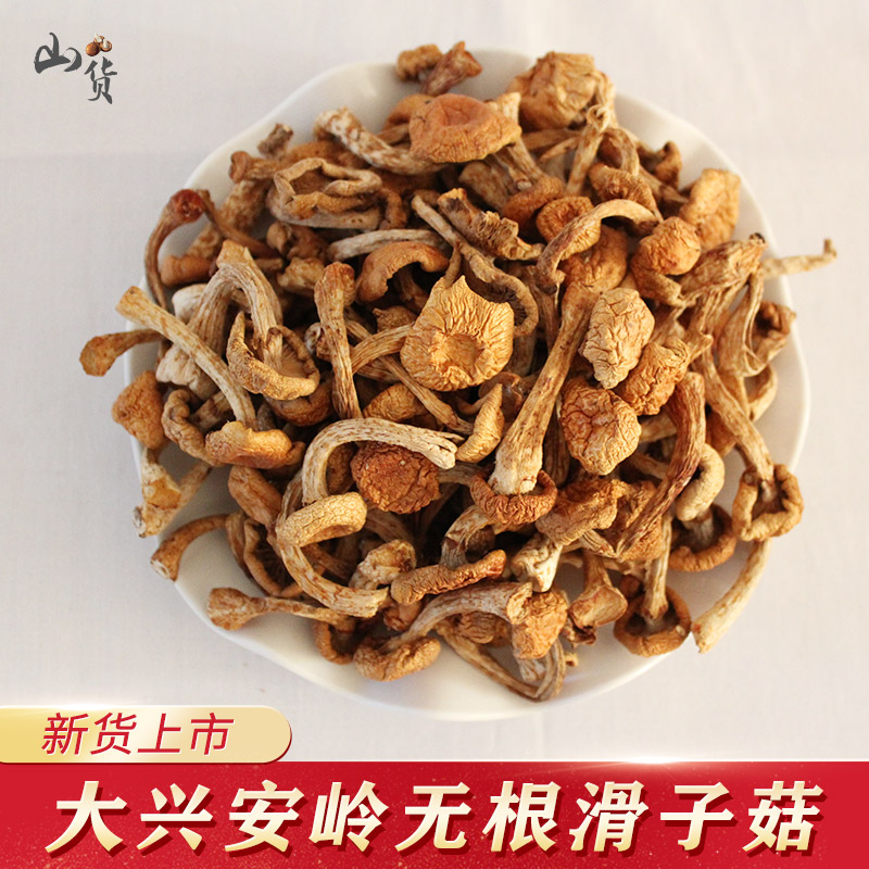 24年新货无根滑子菇东北黑龙江大兴安岭特产野生小黄蘑