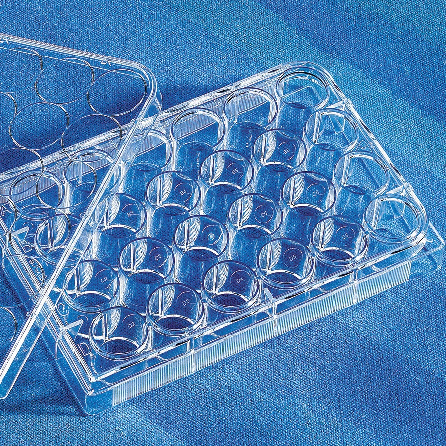 康宁corning costar细胞培养板 6孔 3516-阿里巴巴