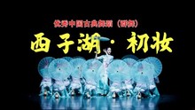 伞舞蹈服装演出服舞蹈家道具成人初梅花同表演中国风服套装现代