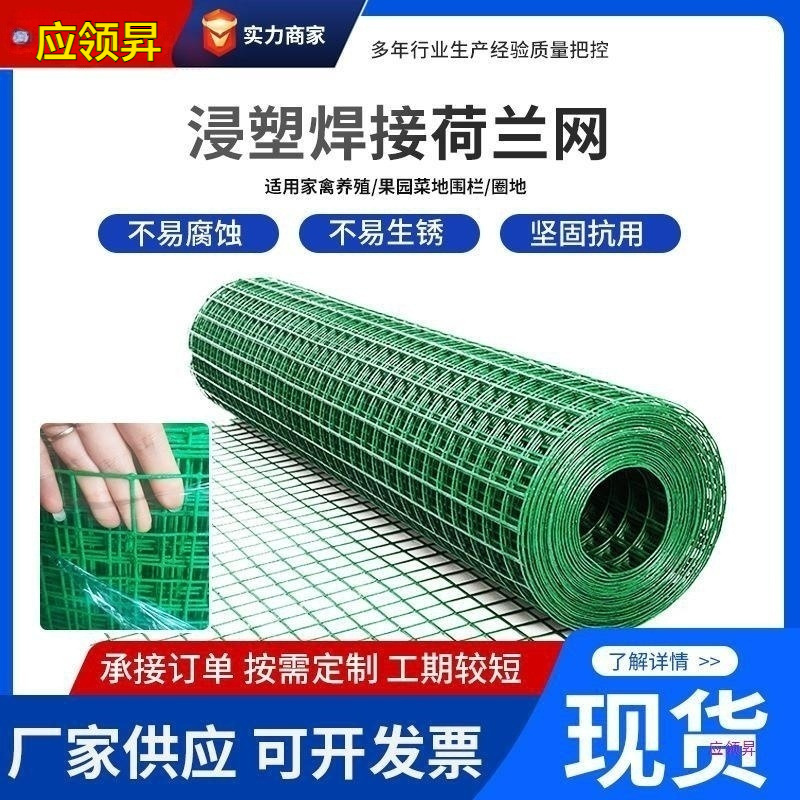 荷兰网硬塑隔离防护铁网 塑料养殖电焊钢丝铁丝网围栏养鸡围栏网