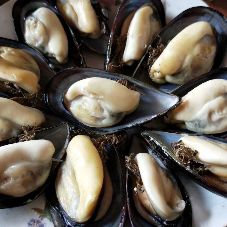 【当天现捕】鲜活海贝淡菜海珍发大号海虹烧烤无沙青口贝贻贝