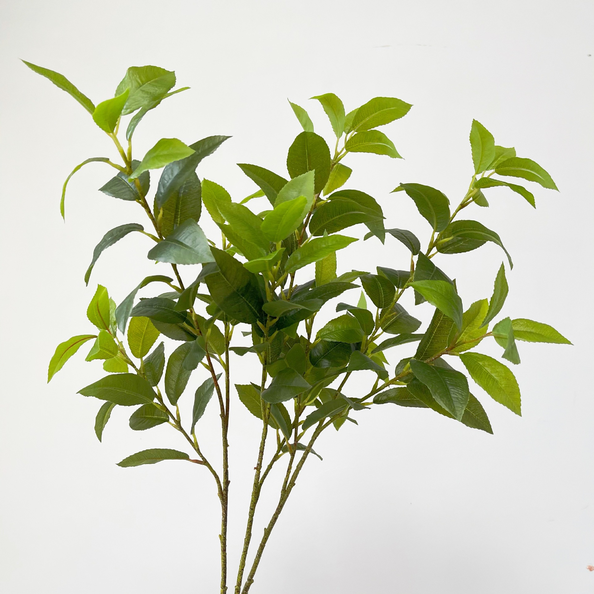 仿真叶月桂叶月桂树叶 手感胶布桂花叶假树枝绿叶子园林装饰摆件