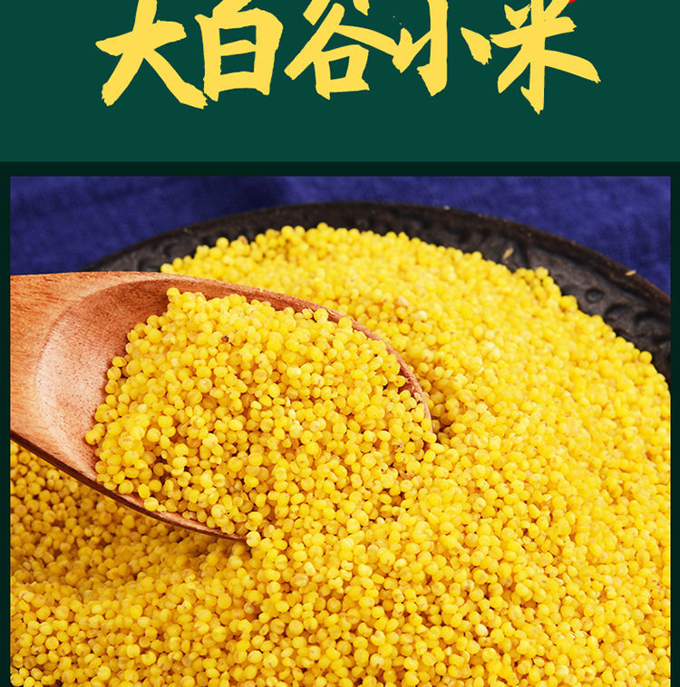 黄小米张家口蔚县小米桃花农家大白谷小黄米蔚州贡米月子米5斤装