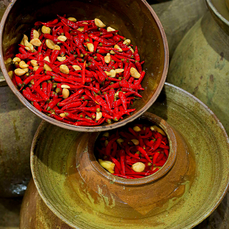 四川红米椒源头工厂八个种植基地基料食材供应有保障值得信赖