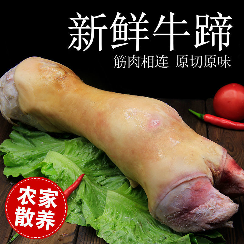 新鲜黄牛蹄子整只牛脚生牛蹄块带筋骨小块农家散养牛肉去毛批发价
