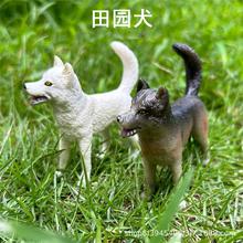 儿童认知仿真动物小狗模型田园犬土狗家犬柴狗宠物狗玩具模型批发