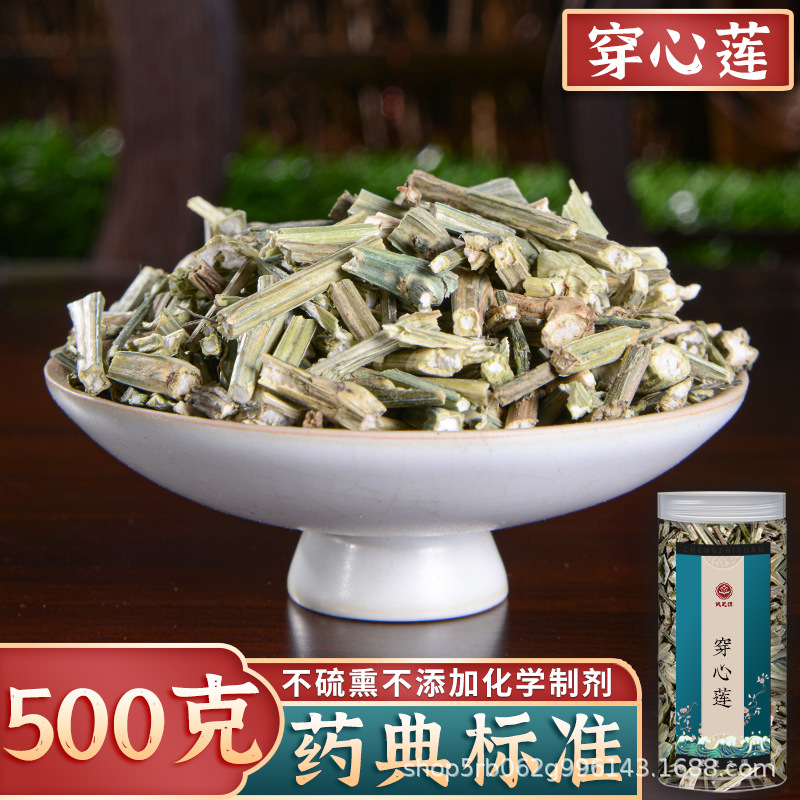 穿心莲中药500克穿心莲新鲜中药材一见喜万日行千里槛核莲苦胆草