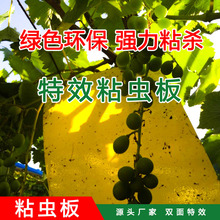 厂家批发大棚蔬菜黄色粘虫板双面杀虫诱虫板