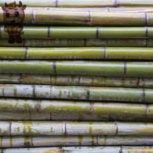 新款 小竹子细旗杆菜园豆角菜架竹竿爬藤牵引搭架长1米2米3米
