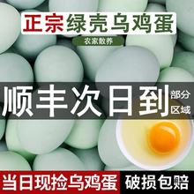 乌鸡蛋农家散养新鲜绿壳农村草鸡蛋40枚无绿皮土鸡蛋柴鸡蛋