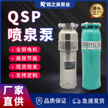 QSP喷泉泵潜水泵水浸式喷泉泵景观园林广场频繁启动音乐喷泉泵