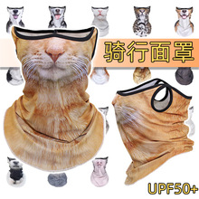 挂耳防紫外线骑行骑士面罩动物半脸橙猫面巾小猫咪三原色