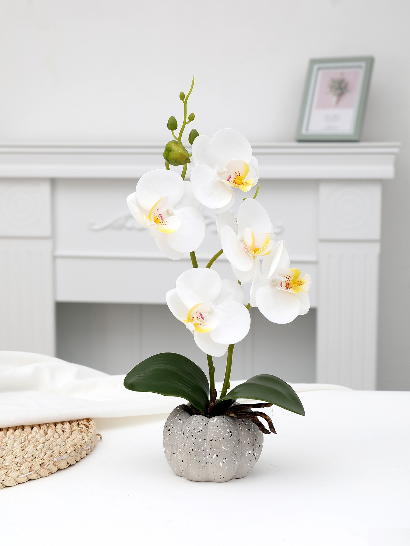 New Artificial Flower Phalaenopsis Plant Potted Decorative Flower Office Shooting Props Fake Flower Wedding Home Furnishing Soft Outfit