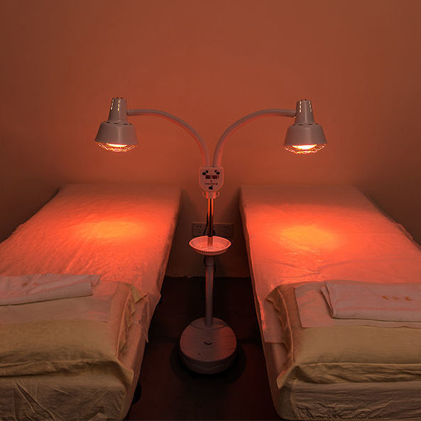 红外线烤灯烤电理疗灯家用神灯双头烤灯 养生馆取暖灯保健加热灯