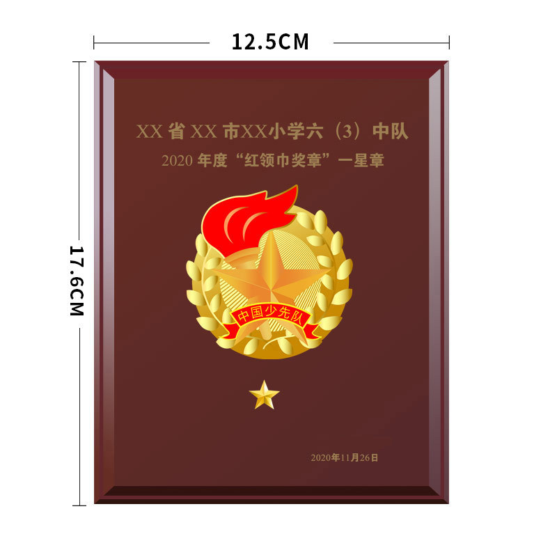 红领巾奖章基础章小学少先队评级火炬章红旗章红星章星级章定制